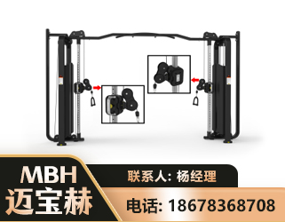 汉中大飞鸟训练器