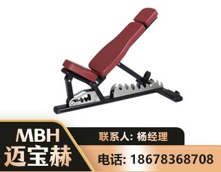 汉中可调哑铃椅