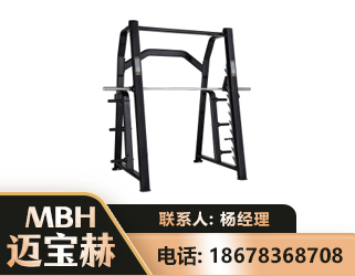汉中史密斯机